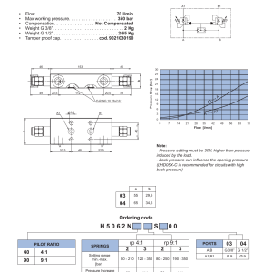NEM Hydraulics Double Acting Counterbalance Valve With Coaxial Cavity - A1/B1 Flanged 40X48 drawing